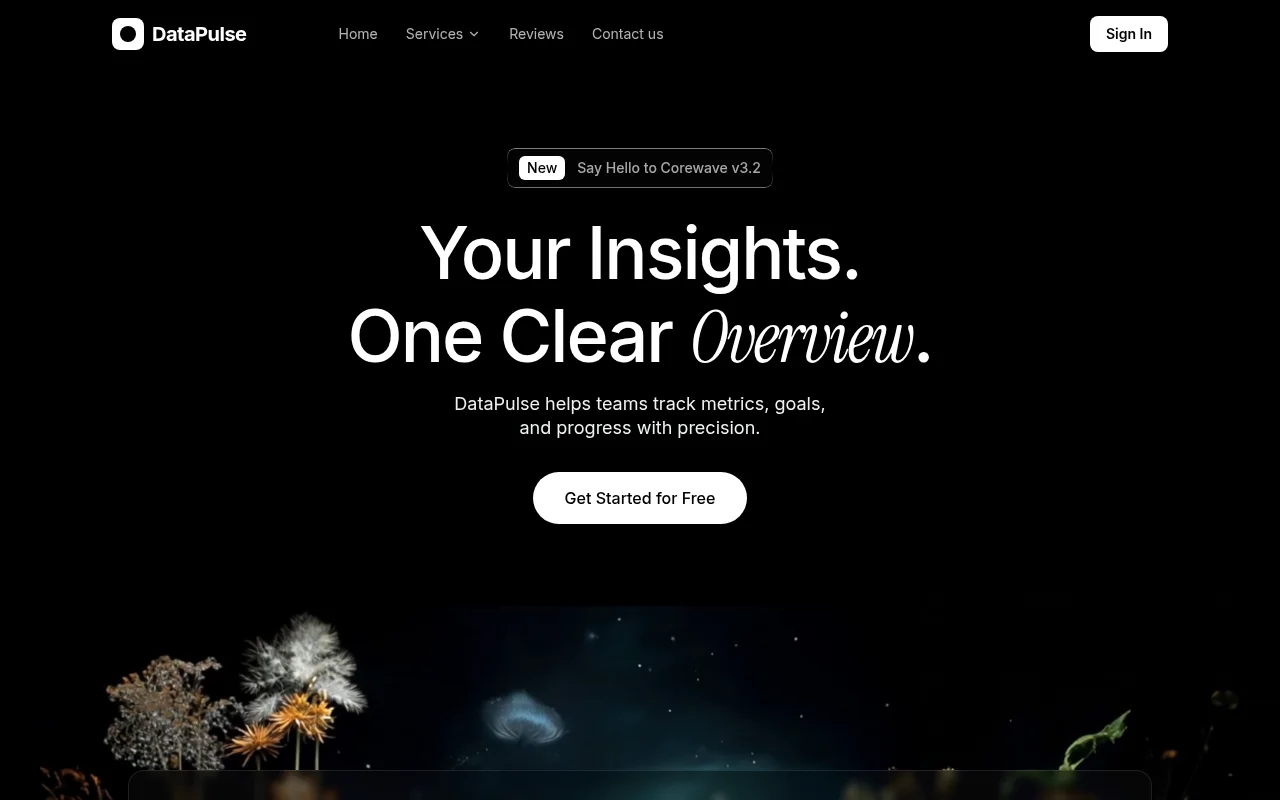 DataPulse